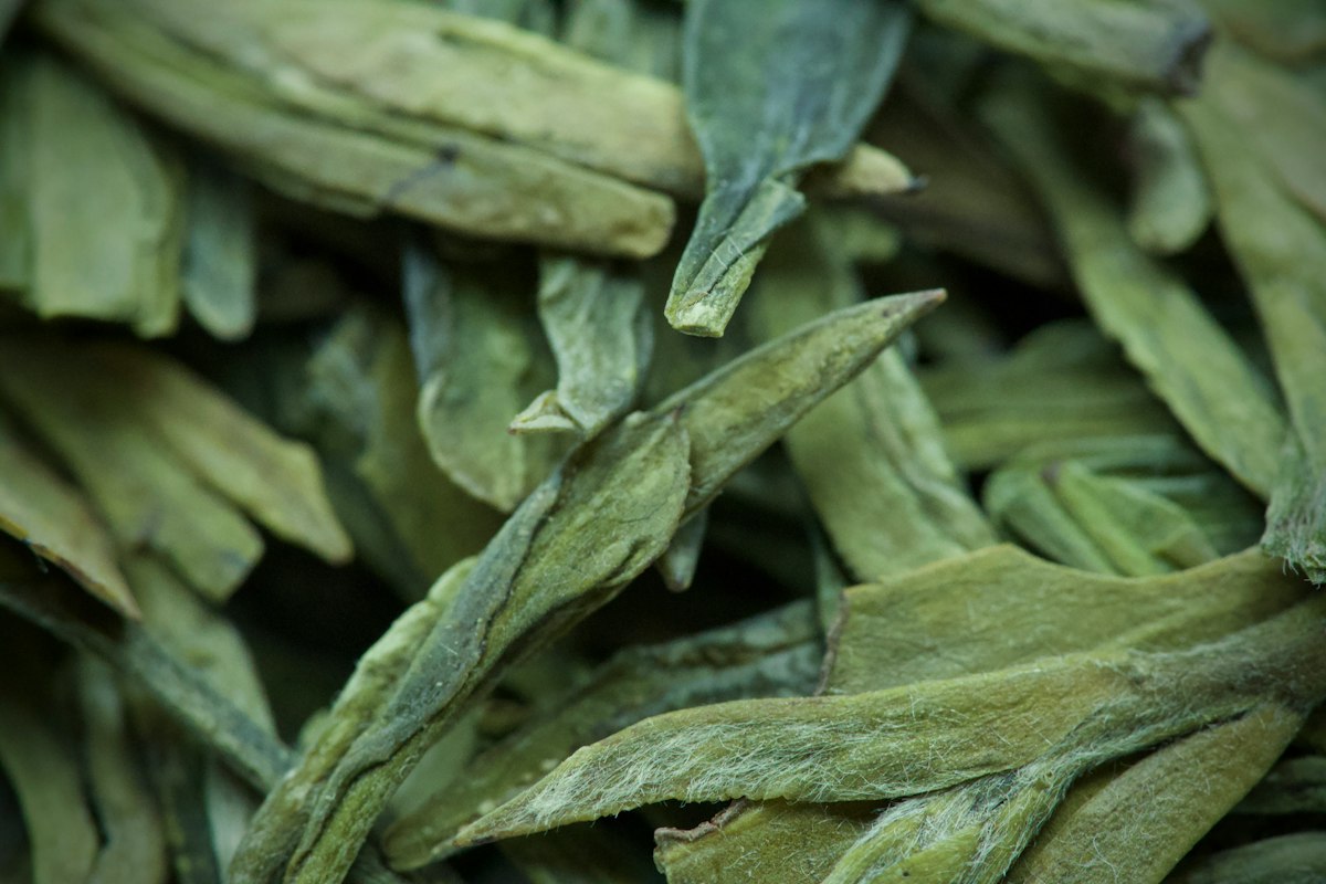 Thé oolong pour la récupération après l'exercice